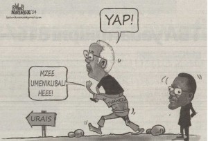 Tz Daima cartoon 151114