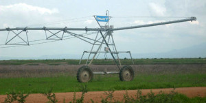 The Kapunga rice project. Tanzania's Energy minister says low water levels in power dams, including Kapunga and Mtera, were mainly caused by irrigation in rice plantations, adding that the country may have to decide to close down the plantations for reliable power.  PHOTO | FILE   By TEA Special Correspondent